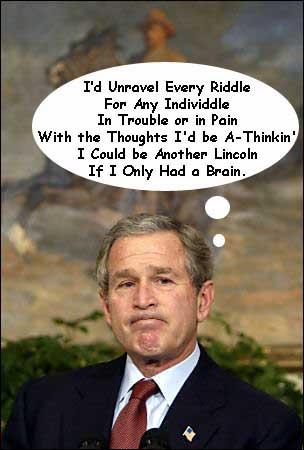 bush brain